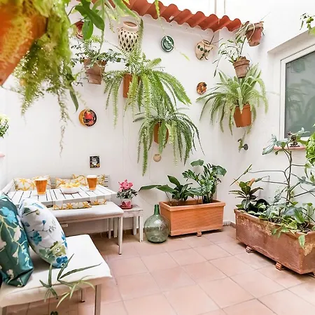 Stbf Prime Location Private Backyard